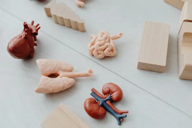 Nephrology (Kidney Care)
